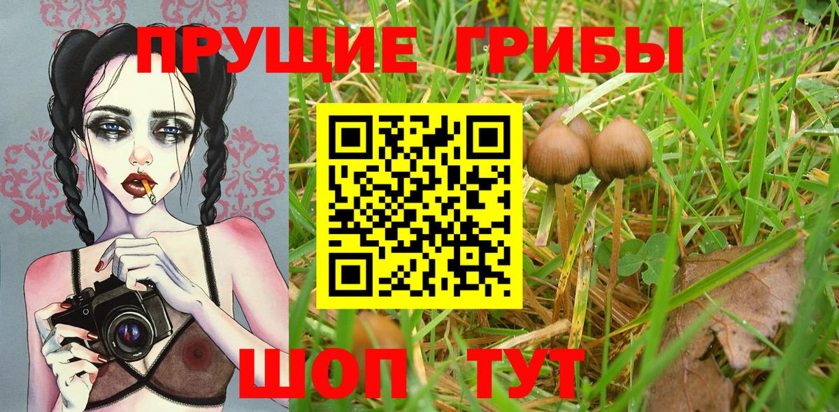 закладки  Псилоцибиновые грибы Magic Shrooms  Галлюциногенные грибы Magic Shrooms  Вход с VPN  Геленджик 