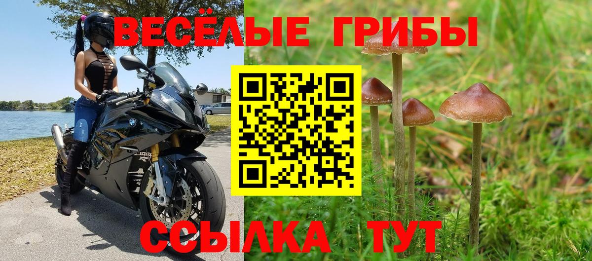 Псилоцибиновые грибы ЛСД Геленджик